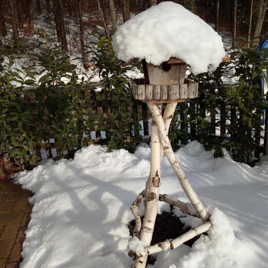 Gasthof Gruener Baum "Kongo" Amtzell ภายนอก รูปภาพ